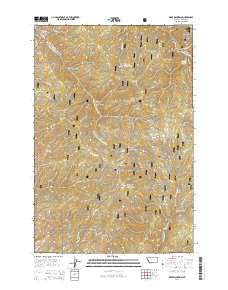 Deer Mountain 2014 topographic map thumbnail