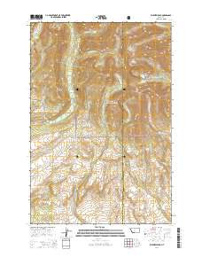 Fairview Peak 2014 topographic map thumbnail