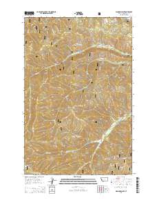 Diamond Point 2014 topographic map thumbnail