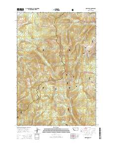 Dickie Peak 2014 topographic map thumbnail