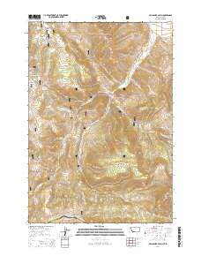 Gallagher Gulch 2014 topographic map thumbnail