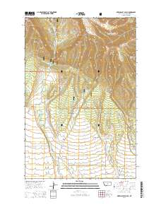 Green Ashly Gulch 2014 topographic map thumbnail