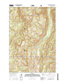 Hummingbird Peak 2014 topographic map thumbnail