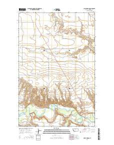 Circle Bridge 2014 topographic map thumbnail