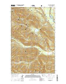 Cyclone Lake 2014 topographic map thumbnail