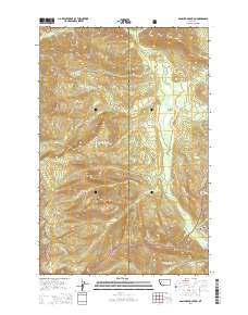 Danaher Mountain 2014 topographic map thumbnail