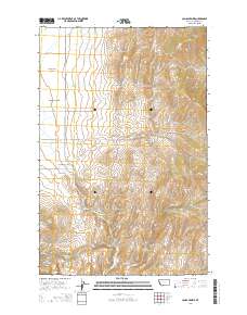 Camas Prairie 2014 topographic map thumbnail