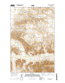 Buckley Lake 2014 topographic map thumbnail