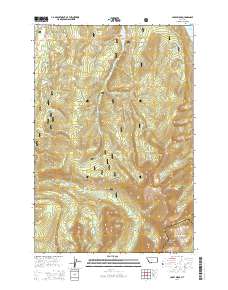 Carpp Ridge 2014 topographic map thumbnail
