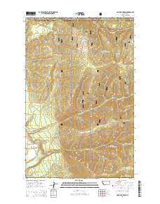 Cook Mountain 2014 topographic map thumbnail