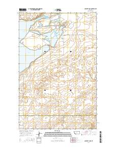Capeneys Lake 2014 topographic map thumbnail