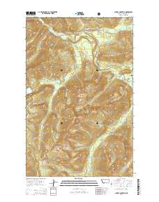Capitol Mountain 2014 topographic map thumbnail