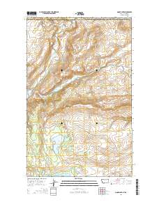 Goose Lake 2014 topographic map thumbnail
