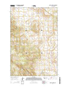 Gravely Mountain 2014 topographic map thumbnail