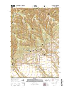 Jellison Place 2014 topographic map thumbnail