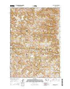 Lacey Gulch 2014 topographic map thumbnail