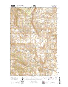 Lingshire NW 2014 topographic map thumbnail