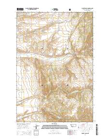 Lippert Gulch 2014 topographic map thumbnail