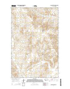 Long Creek West 2014 topographic map thumbnail