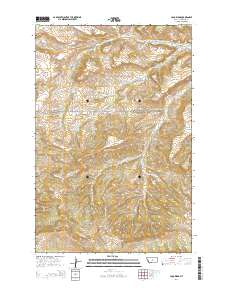 Loco Ridge 2014 topographic map thumbnail