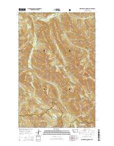 Morningstar Mountain 2014 topographic map thumbnail
