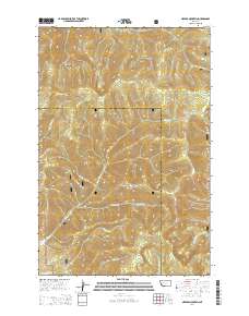 Nevada Mountain 2014 topographic map thumbnail