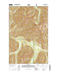 Olson Peak 2014 topographic map thumbnail