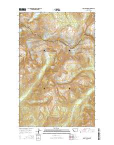 Mount Jackson 2014 topographic map thumbnail