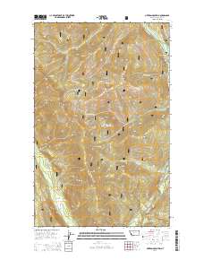 Newton Mountain 2014 topographic map thumbnail