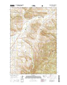 Pinchout Creek 2014 topographic map thumbnail