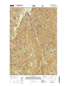 Piquett Creek 2014 topographic map thumbnail