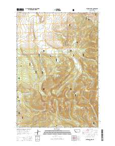 Peterson Lake 2014 topographic map thumbnail