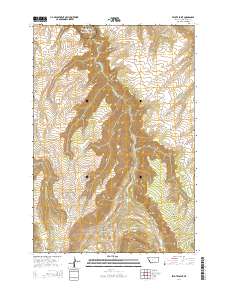 Peyote Point 2014 topographic map thumbnail
