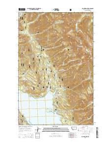 Mount Grant 2014 topographic map thumbnail