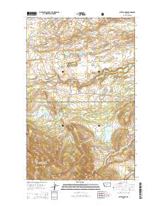 Mitten Lake 2014 topographic map thumbnail