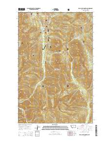 Red Plume Mountain 2014 topographic map thumbnail