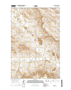 Red Top 2014 topographic map thumbnail