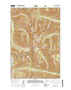 Tenmile Lake 2014 topographic map thumbnail