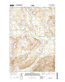 Twodot NW 2014 topographic map thumbnail