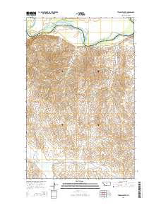 Twomile Creek 2014 topographic map thumbnail