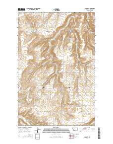 Stockett 2014 topographic map thumbnail