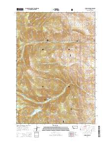 Storm Peak 2014 topographic map thumbnail