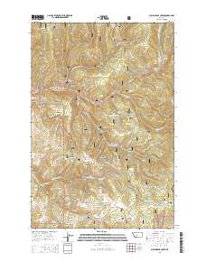 Sulphur Bar Creek 2014 topographic map thumbnail