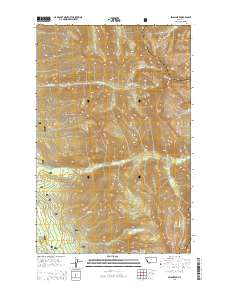 Swan Peak 2014 topographic map thumbnail