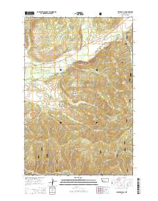 Swede Gulch 2014 topographic map thumbnail