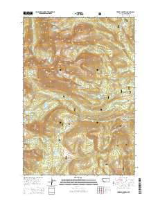 Torrey Mountain 2014 topographic map thumbnail