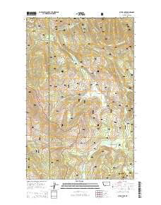 Sylvia Lake 2014 topographic map thumbnail