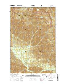 Trap Mountain 2014 topographic map thumbnail