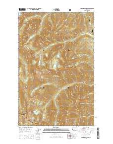 Treasure Mountain 2014 topographic map thumbnail