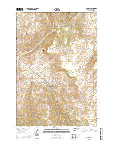 Virginia City 2014 topographic map thumbnail